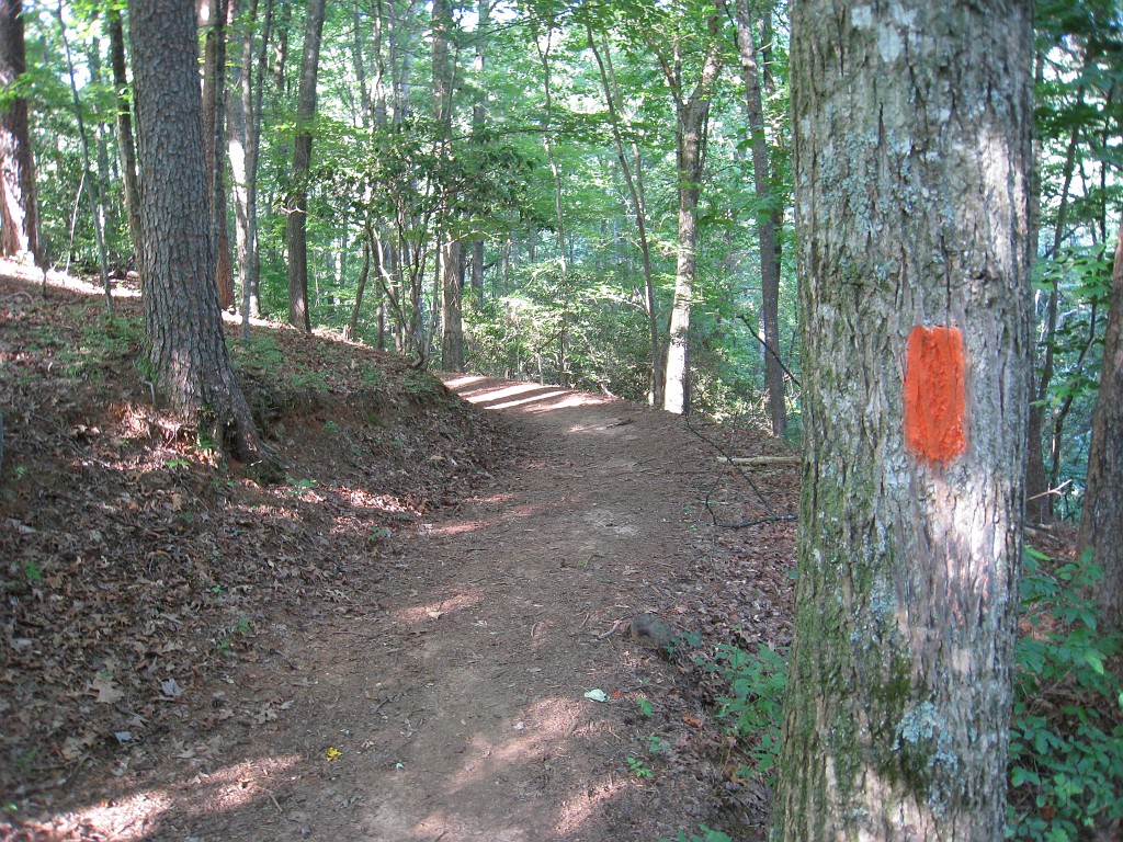 Helen to Unicoi 2010 0065.jpg - The trick to the trail... follow the ORANGE blaze at all times.